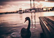 2019-10-14/f05514095057e189b9b4e77db1ea29f1_4470caf57c32ddb81bc315ca71c1f3d5