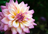 2019-10-15/4eac2275720a3818c84a1df2c2c88dac_994666a7aa91a45c2b39c7b6610b42bf