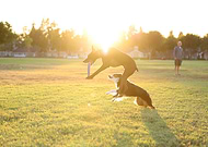 2019-10-15/9c24a79cc4e958a25f40b64f3b23ed80_93dec273c56db12c218d3093395790c3