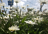 2019-10-16/3ba25fc0177b73389e74467f55743c03_fc5317b362d07dd421a2177fc6e1f2be