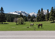 2019-10-17/013abdeb95be5a10c4e5e549176b21c6_3cd4d22386425bd0e2ab85c594c9e13a