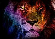 2019-10-18/4fe02e8cdf1785c05b06c9f5288d645c_e0323c2fcc6825e839728177f033ee62