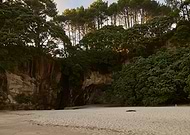 2019-10-18/6fab21c8301145ab59c8e8b2e48857a2_ac6b3419d0187377ef73323651c7faf5