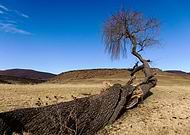 2019-10-18/f26efc7de16ea9276d010cb6d2eda524_8a164ce61c244e8225435dd3913a2835