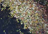 2019-10-18/f700a8f6d9dc84d4d9e93f2f7fcf8387_fa5e36c1497412a6dc9167be9b326eed