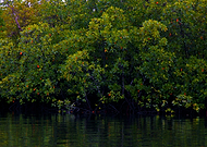 2019-10-19/224859181d3986480badea222ad989c6_f4c294e3ea5237b61ddeebe74d5e7448