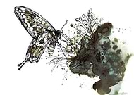 2019-10-19/545175de7ddc7dbc8cef6ee2a2ae9168_52a1462a31ccf8357e9147de312d6ea6