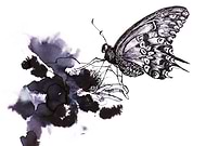 2019-10-19/deffafa7beed52966b0ee0b89dd1d71f_eca04960f15ce9fc8d52ded24f5bed80