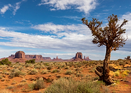 2019-10-21/2bf3318a9f45d799369eccba782c3599_f6f70cc115b4c67c4b8ab863ee61f6de