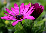 2019-10-22/6e1e7d36a73a97df6fc90558b086122a_782854b2031e2026e966b1a254dc5818