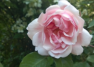 2019-10-22/a2e2e7718cae4d83d1d5d487394fd1b7_745c968ee8a0b19bd05716666252f18f