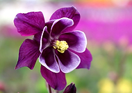 2019-10-22/bc0935504263fe21dad415c7b41107ad_0e0970ee8d900a065a5bad7624c26843