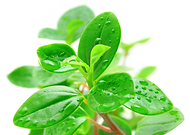 2019-10-23/17387ad53c63fe28f1dbca72d743b001_e3cede8a6b66538f903c8aa66527fe53