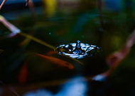 2019-10-24/5c9fad2947f41c440ba7fe60b6e944aa_1932eb1e697fad15e16df8ad32232322