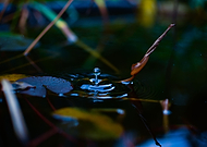 2019-10-24/63500c116a4c78e2fc94cc025d0fe714_17d3ef4f2276e2ca7d81541ccd722587