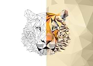 2019-10-25/486763722af525845d7c99eaaeb74712_e093c57e1516d3538470ebef6b71e886