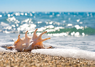 2019-10-26/5196f7f04b3550ab21d1ca4750a7412f_0619acf0e505411ab271a234220eba19