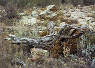 2019-10-26/f07dabb88e53403df8acc1f80f26ce7e_03aae3de8767c6666fe01059eaf8042c