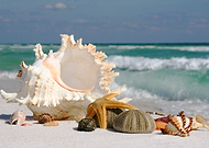 2019-10-26/f129f8a3921d3ae6cfb509231ff04f34_73b90f4c071a41fe54334c9edcf48d52