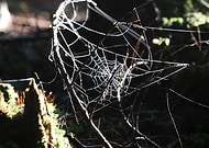 2019-10-27/5ca6a8278f692af4da0316975833ffd2_806c0739c5aa5e210ed3101dfdc69c19