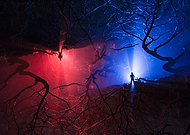 2019-10-27/6717738e5ec0cf82c0dadd867f47a98c_d3421bc4ab2521ed1748038f769be80a