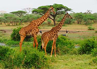 2019-10-27/ab71a4a5d30f877e9edd3ed9e616b9b0_37e80b1e2e291dd9001c51cbc96ebac2