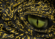 2019-10-27/acec2e3048a567c5a30ef653a262ca08_58017d936bda3193ef39f428dbfdfc4c