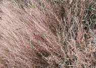 2019-10-28/958413e2a36056f29c7b8113aada95d6_6275fb6b36f5f67c3080ec4eaec5a974