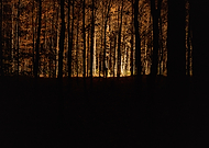 2019-10-30/83c1e9acd6ab334ce6ae59ef7e4e6819_00bd5e9370ec309b33ceadcf14a5c426