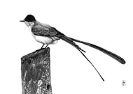 2019-10-30/b7ea6793fcb9498a7237a0d58286de83_21baa094181e0c8a0ae71b7aae2855d0