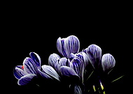 2019-10-31/0a7bab4cee5c7242757ded8baa49aefc_c6aa9e38ac4db5d5028e0da9073eeab8