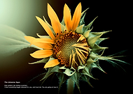 2019-10-31/866776db2bdc3cd81bbdbc68650518bf_3a3327f7e2c210f77b0a72fb9f356985