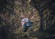 2019-10-31/ca2bb722adb5973eeff81df13b342388_800d28ac83e2b8a01aa6e705a8a52349