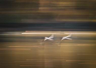 2019-11-01/2ef8851bfb4a32dc34c2f0c66b440139_b6f2680c2426d663005614b542b477af