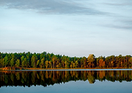 2019-11-01/419f3a74a077b79b3e2cfac50a4c3679_1a3548a348f31a4a63b0b344bd300f6e