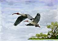 2019-11-01/9db5815d10a55f6dd2fe15e586b636fb_4ee99d9962ae6d4ceb0a2d290ebecf8f