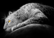 2019-11-02/91638ec8e9a8779e55b3aa4d1def67e2_5b0fa0aa92b88fc3b55d3d1811e8af4f