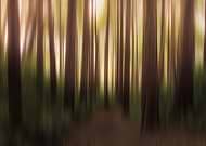 2019-11-02/a1f6de69a05e43b55afed57ba48b83e5_a44c064cdb81b6e33a9b1fa2ad6aa305