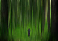 2019-11-02/e5088195cd0c3863a24d67147f466f54_0df9f7cf0a08b5f9aae1ca565f705a16