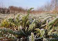 2019-11-02/ec72c889a80f39ebb9b22918465673db_fe585877d2e7f27ab5ae1fc5d945afbc