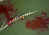 2019-11-03/5bd9ce76acd7e2e4f60791122639fd4f_0d48e5df2f5126efba54356da7c11ae2