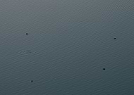 2019-11-03/d78d58f0cf6b80c8dfdb5ce66c6d7d0e_703082022170d70758053d1b43e8495a