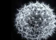 2019-11-04/721c9d1128414293eae0c483d9fb5cd4_3929fb589adc6a7a1717e12769049c44