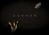 2019-11-04/772c7de4978ef6533848806c784485ed_d79e8958db6afb43f1b6968187f53311