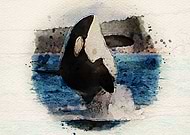 2019-11-05/1a1bf8ac70b070f4ccfbf8442ffbba49_dfac91d417f1b75bcf57d79b56a53162