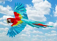 2019-11-05/fd3cb4f5ec3fdd420b72a6335fbc80d4_e962abe707b2b69dddc5da997f1da8f1