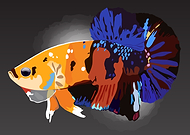 2019-11-07/1bdb0a778ed40673bf022af8bb1124d0_38c1401f00a07c4f497005c3b61078f4