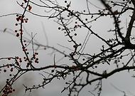 2019-11-07/9c09d3f98c3cbc864df401694590cea7_e4d1fcaddce8cf79981eda87f31359d7