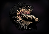 2019-11-07/c4893a0442ac0fa2ddaa4ed40e091c65_552bcf844752a2ceae892d99916be4ec