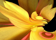 2019-11-08/68ee3ba7c42e837117e96939d9ce263b_44c7ed9f7353527a006ac95b528b17b9